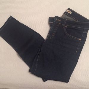 JBRAND DARK WASH HIGH WAISTED SKINNY JEANS